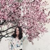 Под Котацу🎐