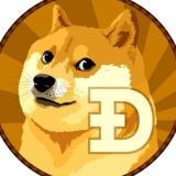 Doge | Chia Chat