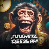 Планета Обезьян 🐒