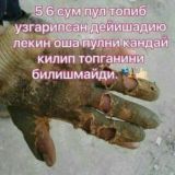 Жизнь