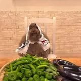 Memes кружочки