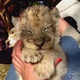 ЗАЙДИ В КАНАЛ 🥺