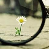 "Приднестровье-наш общий дом"