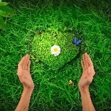 Психология Счастья