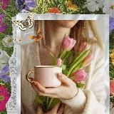 🌷𝐹𝑟𝑎𝑠𝑒𝑠 𝑌𝑎𝑙𝑖✨