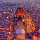 Wild About Travel