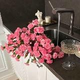 𝕚𝕟𝕤𝕤𝕡𝕚𝕚𝕚𝕣𝕖🎀