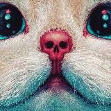 B O M B A P I C 🌇🌉🌃