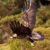 Lucha por tu Libertad