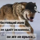 новости и кеки