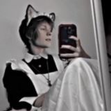 ~Ꭰиᴨинᴄяᴛᴀ~