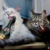 Душевный юмор