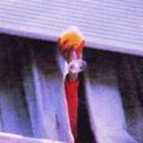 𝙰𝚙𝚙𝚕𝚎𝚑𝚎𝚊𝚍🤠☕