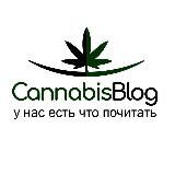 Зелёный Вестник