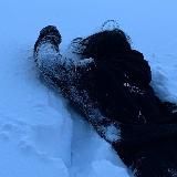 питаюсь воздухом