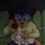 переезд ¦ мексич