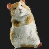 Красноярск жилье аренда снять