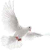 Душевное равновесие