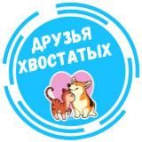 Друзья Хвостатых | Новое Павлино