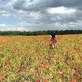 🪬 Le Sanctuaire de Mon Ami 🌙 🪬