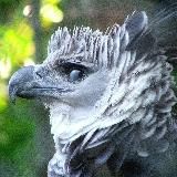 Удивительная планета