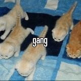 gamg!
