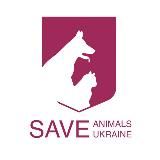 Евакуйовані тварини Дніпро