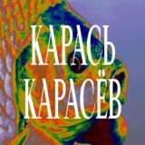 Карась Карасёв
