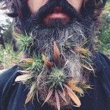 🌎CosmosShop 24/7🔥