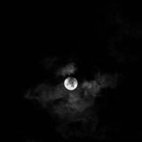 Écoutez votre cœur🖇️