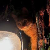 твой город 🌃