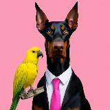 Wangoff. RuИТ комьюнити для лидеров.