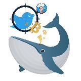 Твиты Крипто Китов