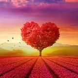 Слушай свое сердце