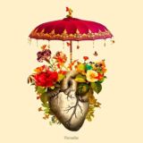 𝓟𝓪𝓻𝓪𝓭𝓲𝓼𝓮