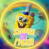 🧽 Халява от Губки