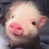 Escort Yerevan Armenia