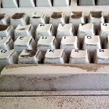 Евробелорус