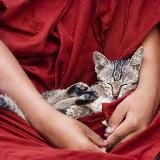 Просто лежать-аудиокурс