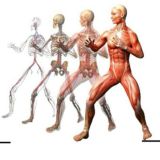 ❗ЛФК ФИТНЕС ДИЕТОЛОГИЯ РЕАБИЛИТАЦИЯ МАНУАЛЬНАЯ