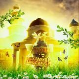 Торжков • Новости Торжок