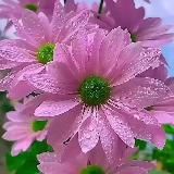 ✨©ПСИХОЛОГИЯ|САМОПОЗНАНИЕ|МЫШЛЕНИЕ|Русские руны| МАК-карты|Медитации| Арт-терапия✨