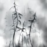 TKarnash PhotoArt