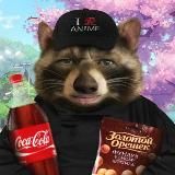 Енотик Гоша 🦝 Глад Валакас Фотолупы