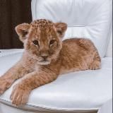 Азартный Slimchik | Промокоды | EZCASH | DRAGON MONEY | VODKA | VAVADA | TRIX