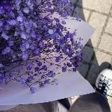 𝓚𝓾𝓭𝓪𝓻𝓼𝓴𝓪𝔂𝓪 𝔃𝓱𝓲𝔃𝓷'