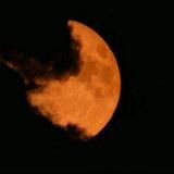 𝐙𝐨𝐥𝐨𝐭𝐨 𝚘𝚙𝚝𝚘𝚖 ✨