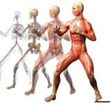 ❗ЛФК ФИТНЕС ДИЕТОЛОГИЯ РЕАБИЛИТАЦИЯ МАНУАЛЬНАЯ ТЕРАПИЯ БИОХИМИЯ