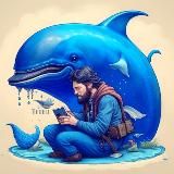 KiT - новости сетей
