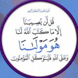 ПРИЕМНАЯ. ВОПРОСЫ ПО УЧЁБЕ. МИСБАХ. бисмиЛлях